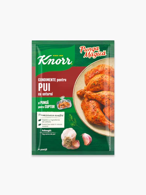 Knorr Magic Bag Garlic Chicken Seasoning