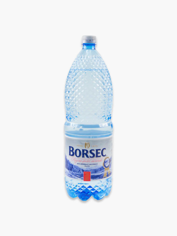 Borsec Apă Plată 2L